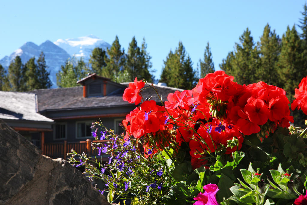 Mountaineer Lodge Lago Louise Exterior foto